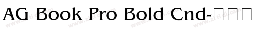 AG Book Pro Bold Cnd字体转换